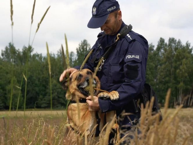 Policjanci i ich psy służbowe walczyli o tytuł! Kto okazał się najlepszy?