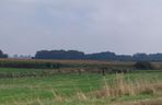 Dron w Cześnikach