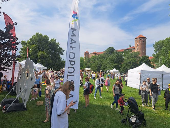 Smoczy Piknik Rodzinny 2025 w Krakowie