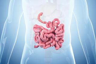 Zapalenie jelit: przyczyny. Co powoduje stany zapalne jelit?