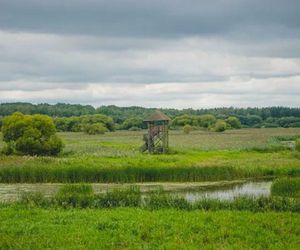 Rzeka Narew na Podlasiu