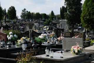 Wolontariusze zbierają na odnowę zabytkowych nagrobków. Trwa coroczna kwesta