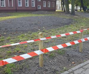 Zmienia się skwer na rogu Wałowej i Marcinkwoskiego w Lesznie. Będą nowe nasadzenia i budka meteo