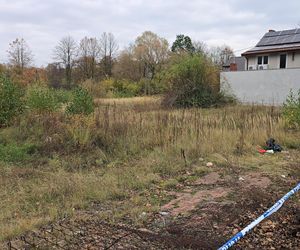 Zabójstwo w Kampinosie