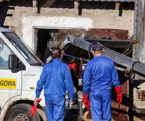 Horror koło Ostródy. Zwierzęta konały bez światła, wody i jedzenia