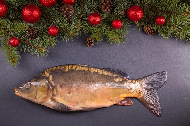 Karp wigilijny - przepis na tradycyjną świąteczną potrawę