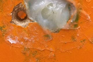 Ksiądz nagrywał nagiego mężczyznę w centrum handlowym