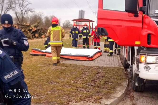 Gorzów: O włos od TRAGEDII! Desperat wdrapał się na słup i nie chciał zejść! [ZDJĘCIA]