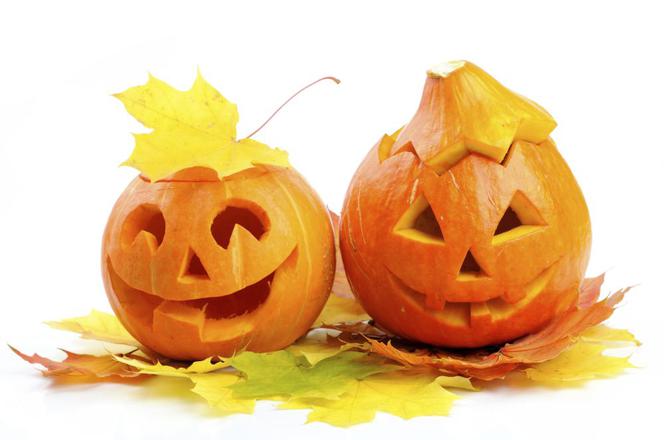 dynia na halloween