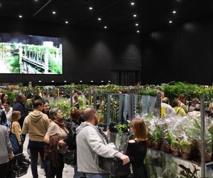 Festiwal Roślin w Katowicach przyciągnął tłumy miłośników zieleni. MCK przepełnione roślinnością