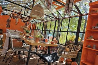 Ogromna Farma Dyniowa w Radawie 