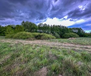 Podejrzany o zabójstwo Mai z Mławy miał problemy z agresją? Jego znajomi zdradzają. „Potrafił wkurzyć się z niczego”