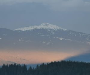 Schronisko na Hali Miziowej