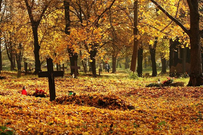 Świerczewo