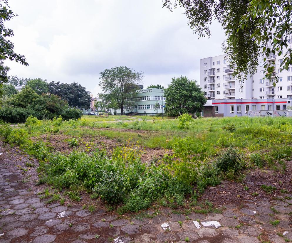 Pusta działka po kinie W-Z w Warszawie zarośnięta trawą. W tle blok i niska zabudowa. O nowej inwestycji czytaj w Architektura.