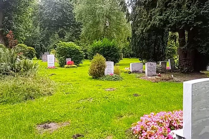 Ohlsdorfer Friedhof w Hamburgu