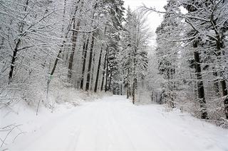 Atak zimy na Dolnym Śląsku. Ostrzeżenia IMGW. Jakie warunki na drogach?