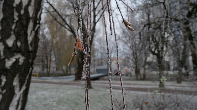 Prognoza pogody na Święta 2019