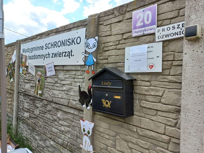 „Wszystkie psiaki nasze są” w schronisku w Henrykowie koło Leszna