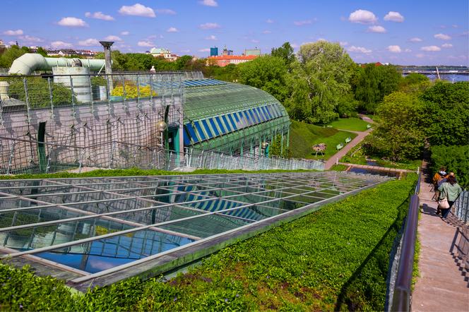 Dach zielony Biblioteki Uniwersytetu Warszawskiego