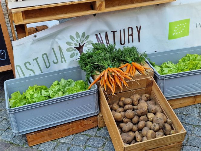 Stare Miasto w Olsztynie tętniło życiem. Zobacz, co działo się w weekend!