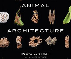 Animal Architecture