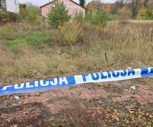 Zabójstwo w Kampinosie