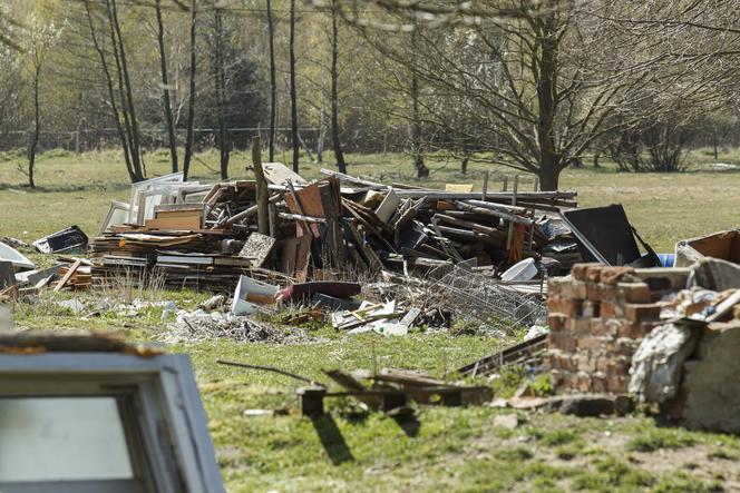 Konie i kozy terroryzują wioskę