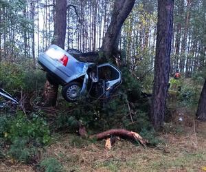 Stare Konopki. Volkswagen wbił się w drzewo. 25-latek nie miał szans. Tragiczny wypadek