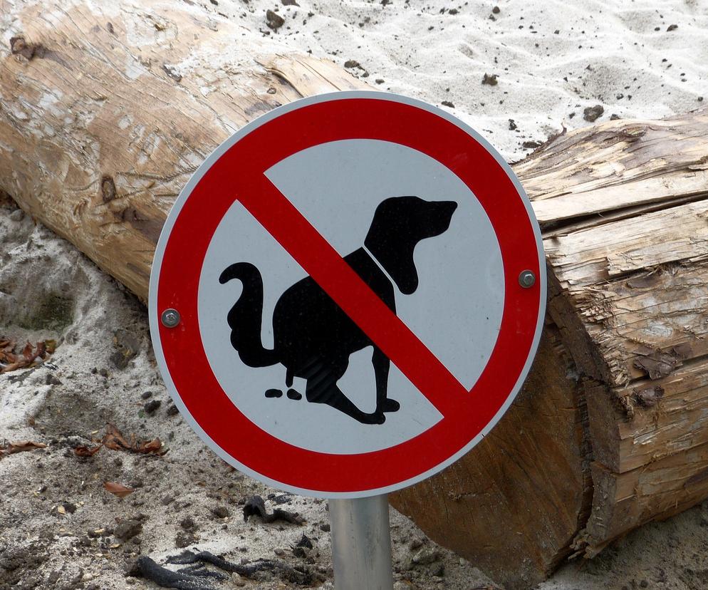 znak zakaz dla psów 