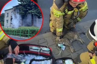 Bohaterska akcja strażaków. Z płonącego budynku wynieśli dwa koty i psa. Rodzina straciła cały dobytek