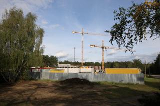 Warszawa. Na terenie budowy liceum wyrósł rdestowiec. W jaki sposób dzielnica radzi sobie z tą inwazyjną rośliną?