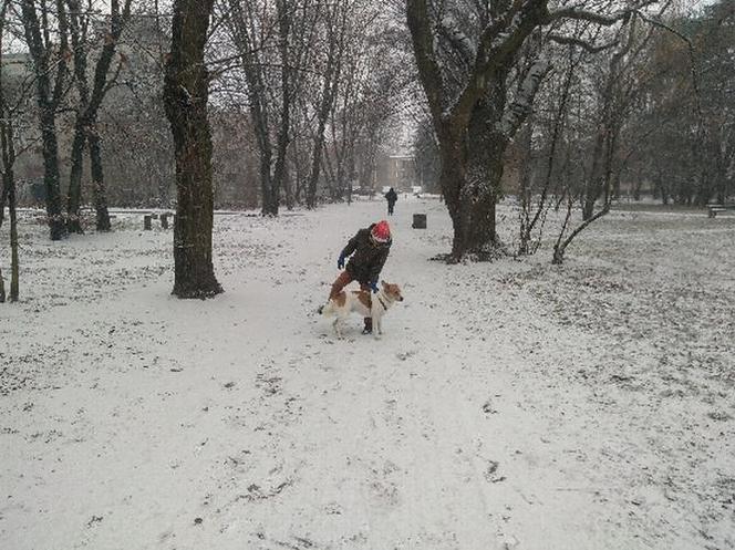 Atak zimy w Warszawie