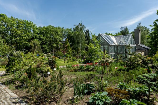 Miniarboretum powstało w Bytomiu. Miasto zaprasza uczniów i przedszkolaków