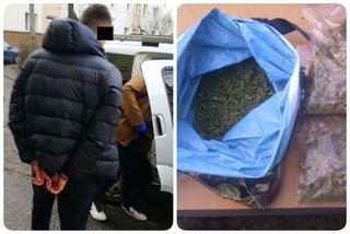 Bydgoszcz: Policja zabezpieczyła ponad pół kilograma marihuany na osiedlu Leśnym i Błoniu!