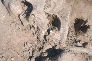 Niezwykłe znalezisko w Orłach. 