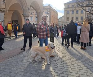 33. Finał WOŚP z grupą krakowskich Golden Retrieverów