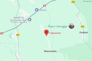 Całowanie (pow. otwocki)