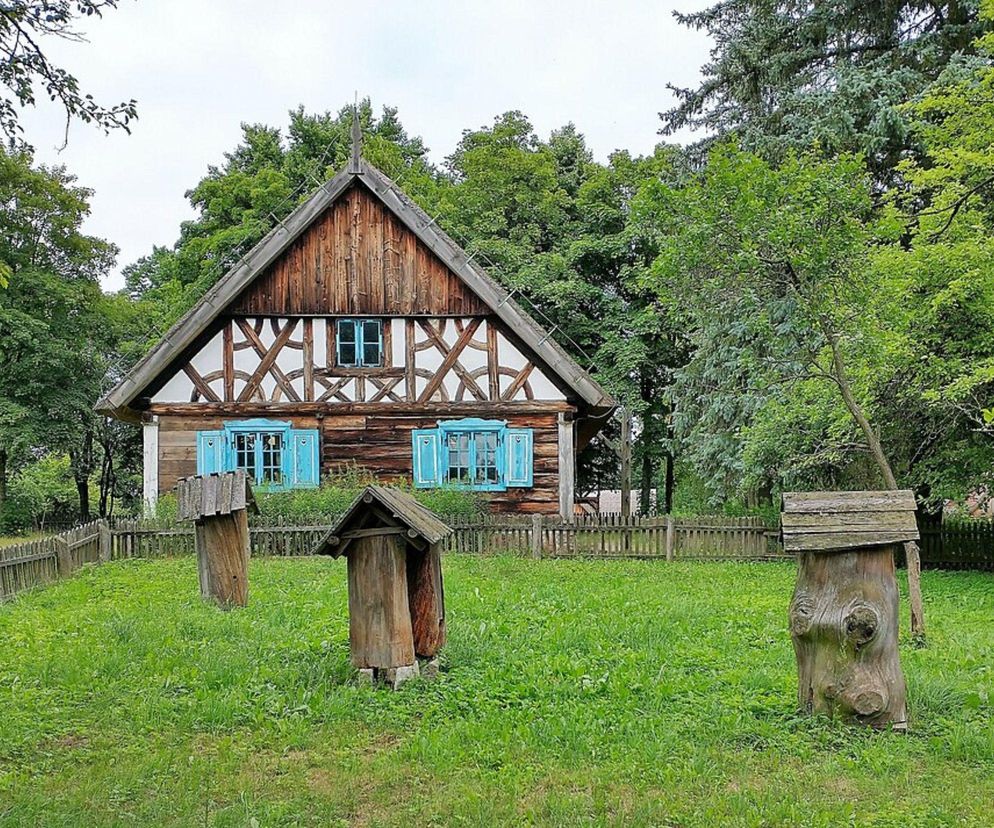 Gdzie na długi weekend sierpniowy? Te miejsca na Warmii i Mazurach warto odwiedzić