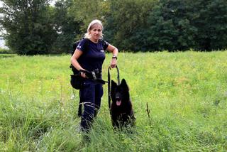 Policyjne psy podczas atestacji