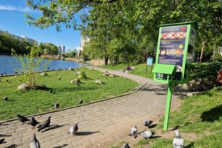 Ptasi Bufet nad bydgoskim Balatonem. Tak mieszkańcy karmią z głową!