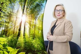 Co się będzie działo w Puszczy Białowieskiej? Minister ujawnia  