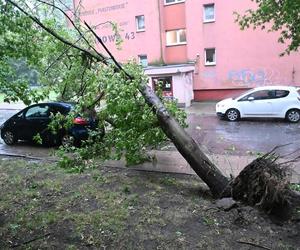 Burze i nawałnice przeszły nad Polską. Strażacy podali miażdżące dane