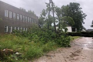 Wichura i ulewy w Podlaskiem. 15 tys. odbiorców bez prądu [ZDJĘCIA]