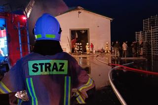 Magazyn w pow. zamojskim zapłonął od uderzenia pioruna