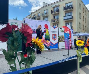 XVI Jarmark św. Stanisława w Siedlcach. Zobacz zdjęcia