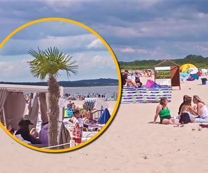 To nie Majorka, a plaża w Polsce! Najpiękniejsze miejsce nad Bałtykiem, są nawet palmy. I prestiżowe wyróżnienia