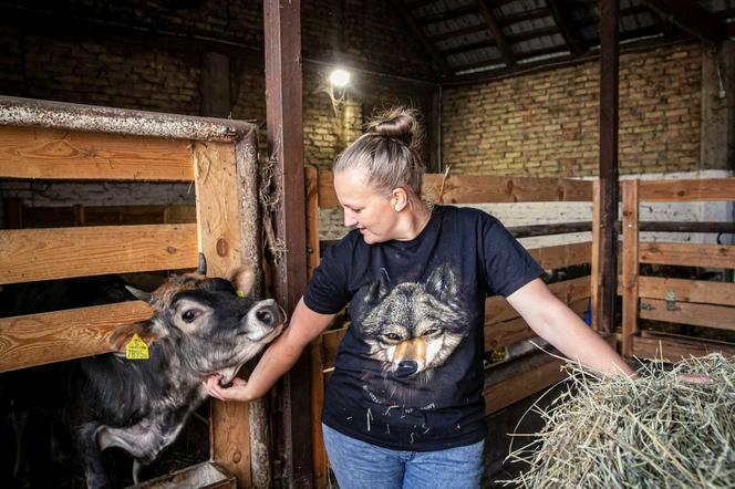 Tak wygląda gospodarstwo Emilki z "Rolnicy Podlasie"