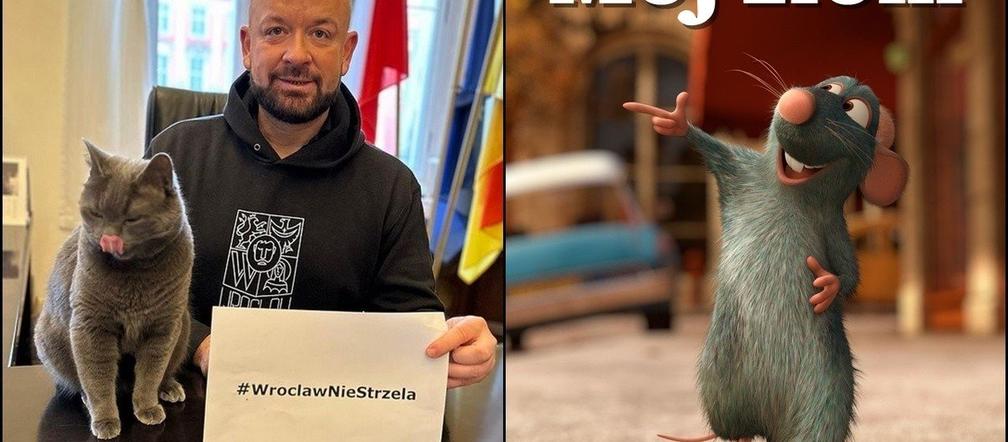 Szczury przejęły władzę nad Wrocławiem. Zobacz Najlepsze MEMY!
