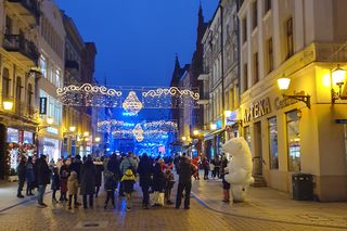 Biały Miś na toruńskiej starówce